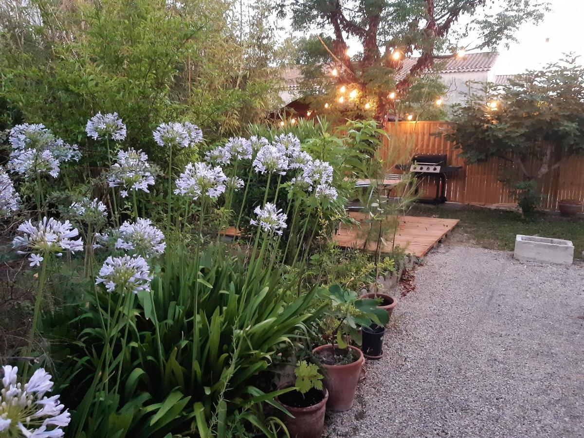 Villa " Les Bambous " , Jardin , Terrasse , Climatisation , Wifi , Parking Avignon Bagian luar foto